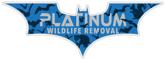 Frankenmuth Wildlife Removal