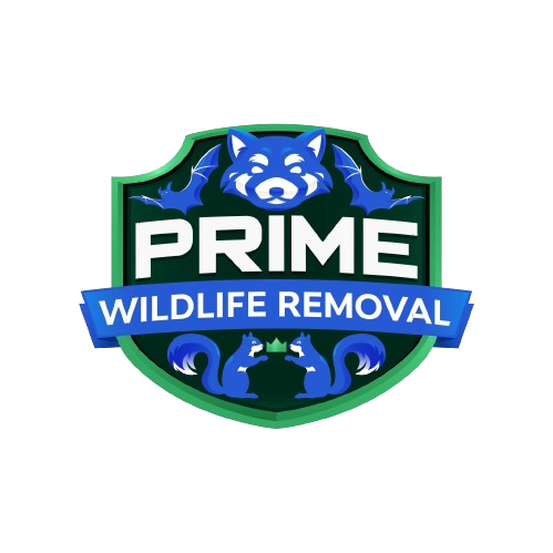Frankenmuth Wildlife Removal